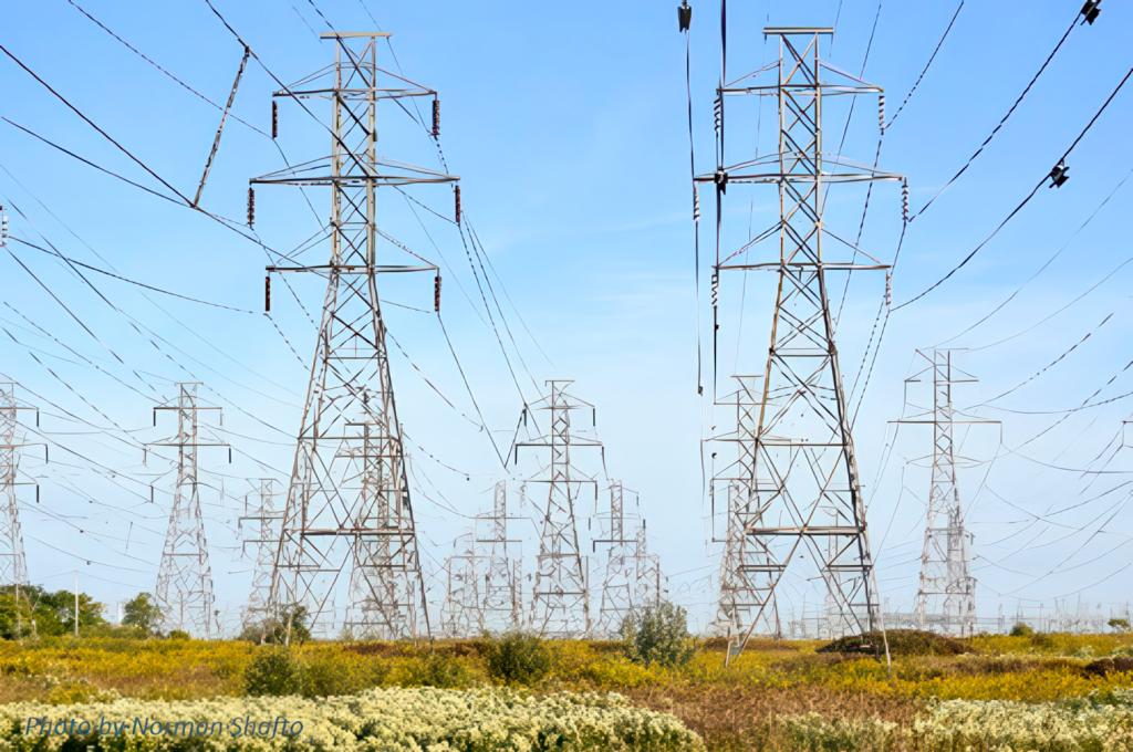 transmission lines with biodiversity