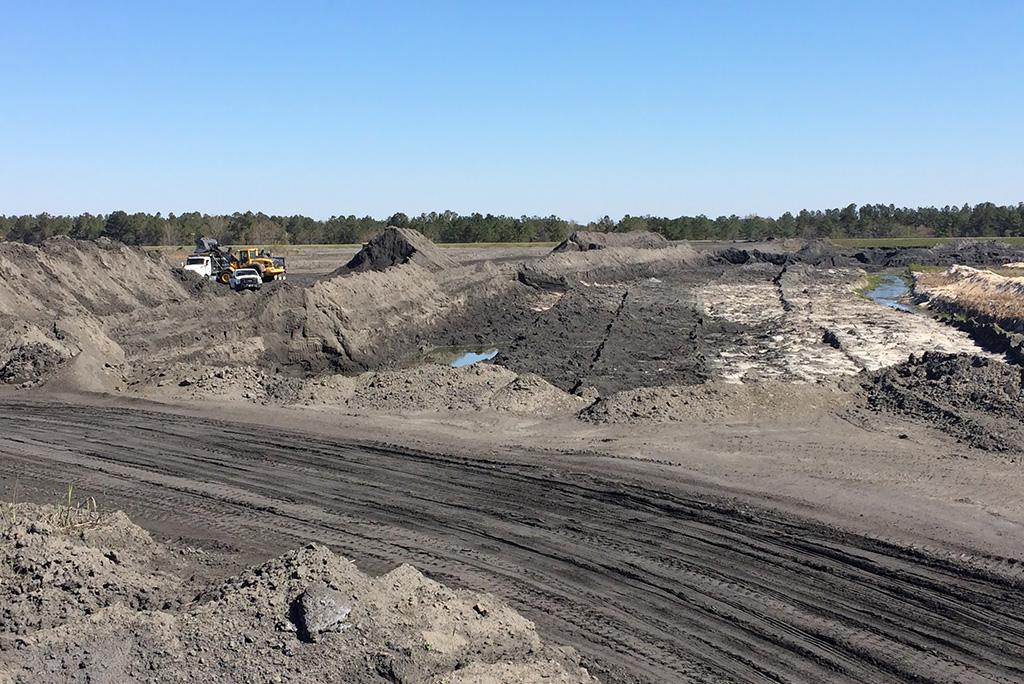 Harvesting a former coal ash impoundment Harvesting a former coal ash impoundment