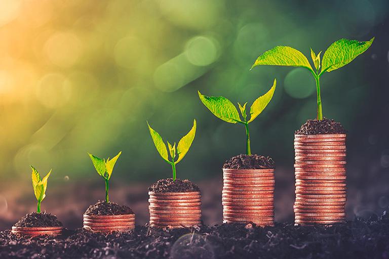 Savings potential Savings potential