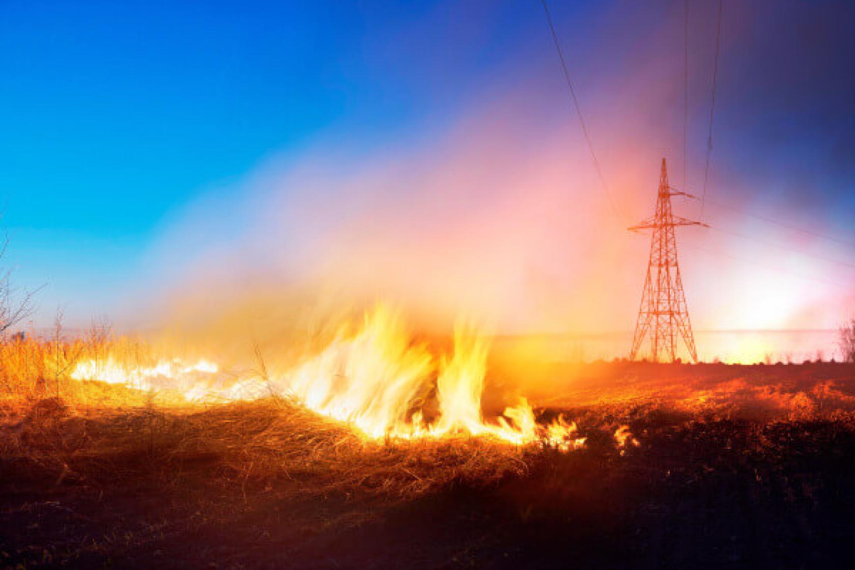 Wildfire burning on the ground near powerlines